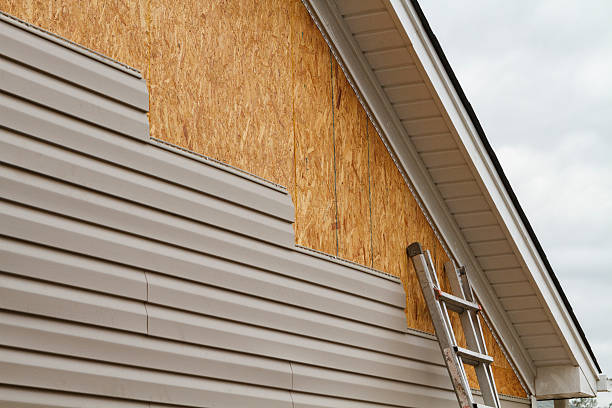 Professional Emergency Siding Repair technician working in Apollo Beach, FL